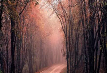 弗里克入主巴萨后战绩炫目 比当年瓜迪奥拉还强.