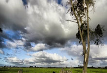 TK体育官网：印第安维尔斯网球赛正赛签表出炉 中国军团5人出战.