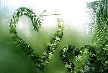 真情流露！《中国榜样》独家对话郭士强预告.