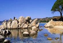 4连胜，不失1局！国羽女双力克3号种子，挺进决赛，凡晨将合体.